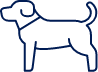Pet Place
